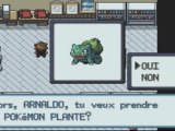 Guide Pokémon Rouge feu Chapitre 1 : Le Bourg Pallet