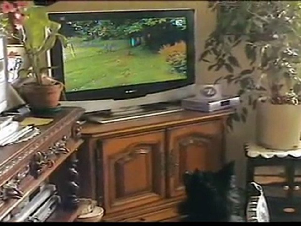 Filou et la télé : Épisode 2