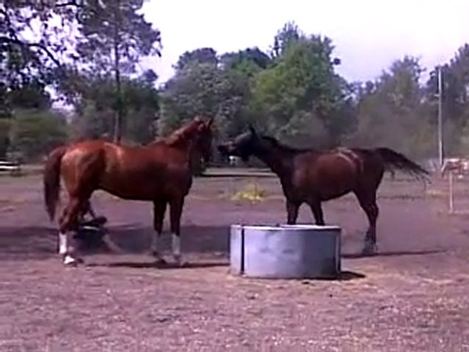 Ombrage et Baly