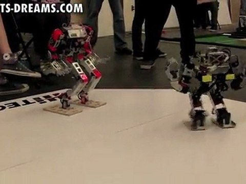 RoboGames 2011 - Day 3 Humanoid Robot Kung-fu - Match 11