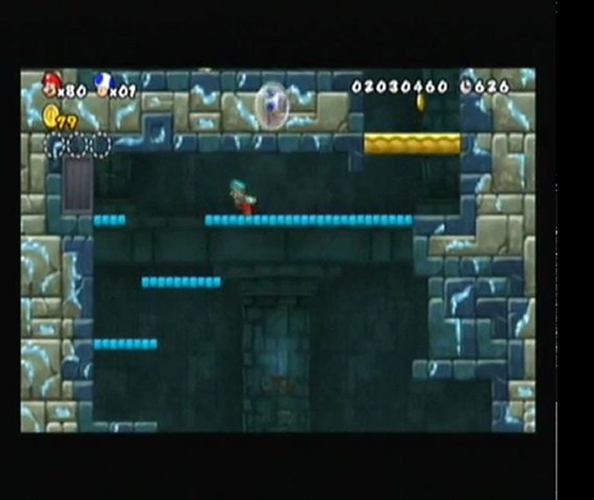 new super mario bros wii (7)  :maison hanté,tour et maisons champignons