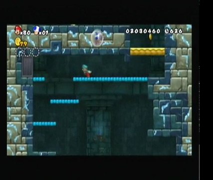 new super mario bros wii (7) :maison hanté,tour et maisons champignons