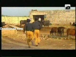 Tere Pehlu Main 30 April Part 1