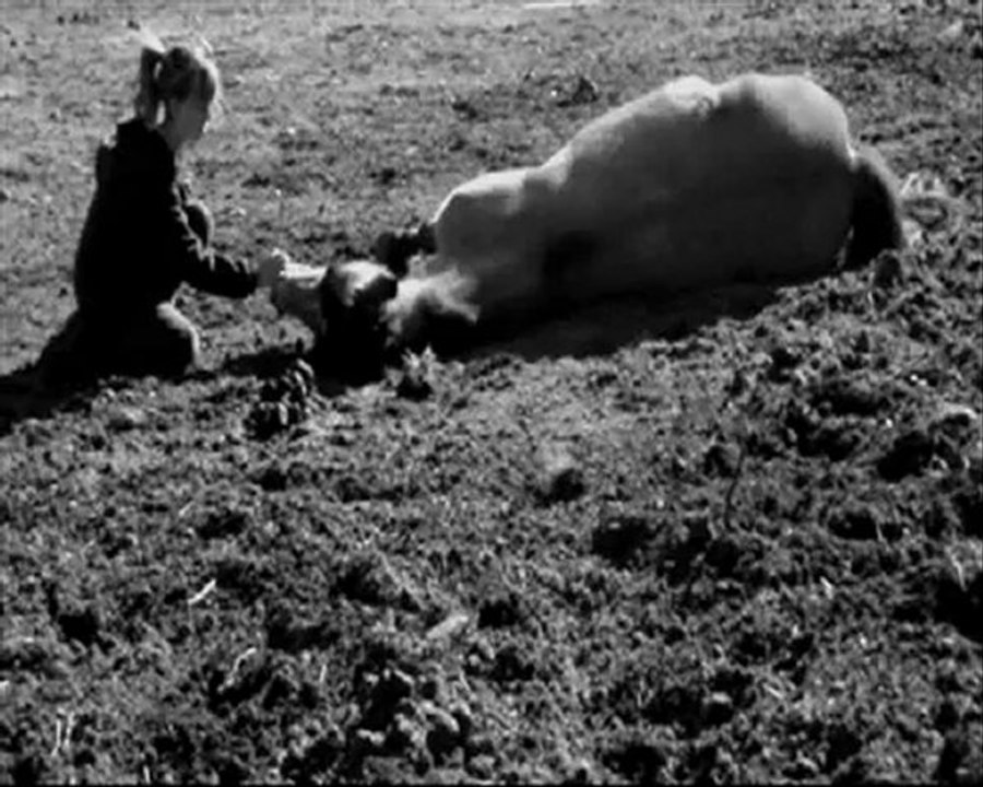 Notre jour, pour toujours