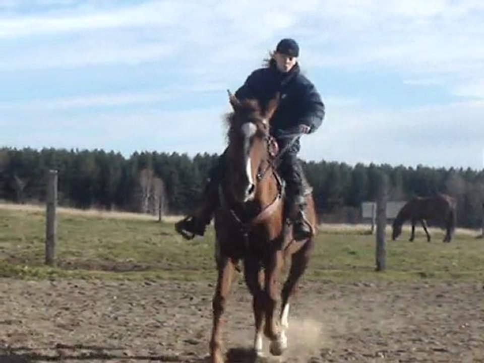 Moi et ma jument Easy :)