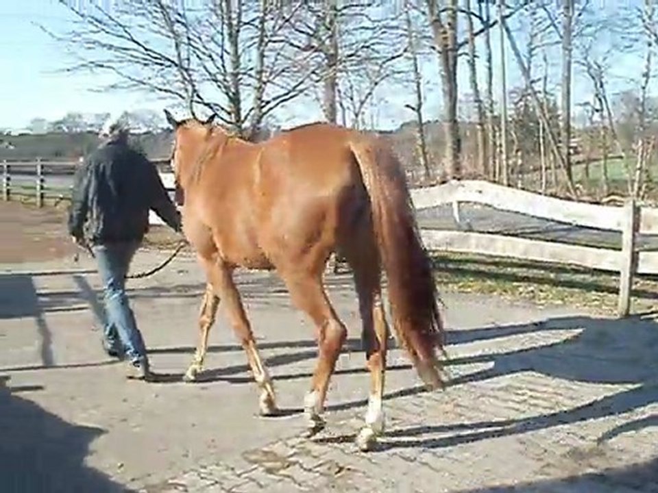 P1010057