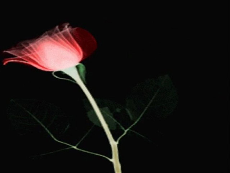 Ey aşk-ı sadıklar