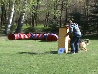 "Zuikelio taurė" - MindaugasxJetta2