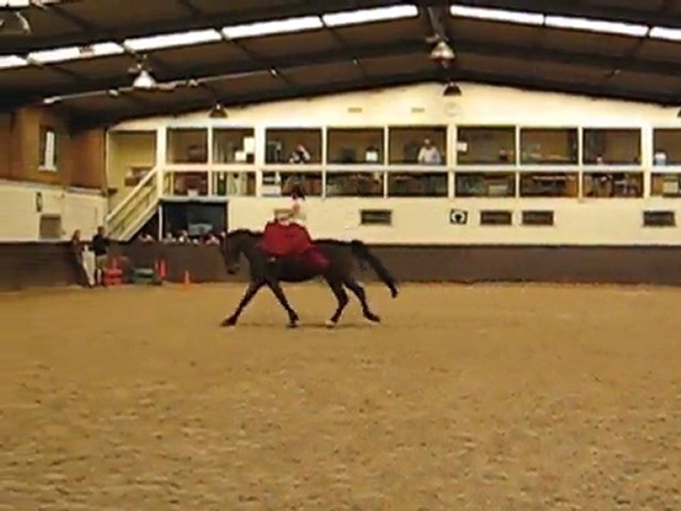 Galop manège amazone