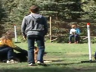 "Zuikelio taurė" - MindaugasxJetta 1