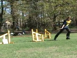 "Zuikelio taurė" - GabijaxKaa1