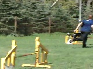 "Zuikelio taurė" - GabijaxKaa 2