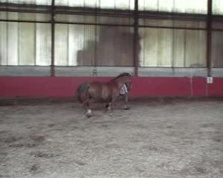 mon ptit loup qui me suit