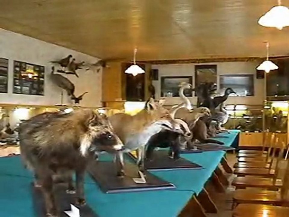 POWIAT INOWROCŁAWSKI_cz5