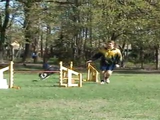 "Zuikelio taurė" - DaliusxUni 1