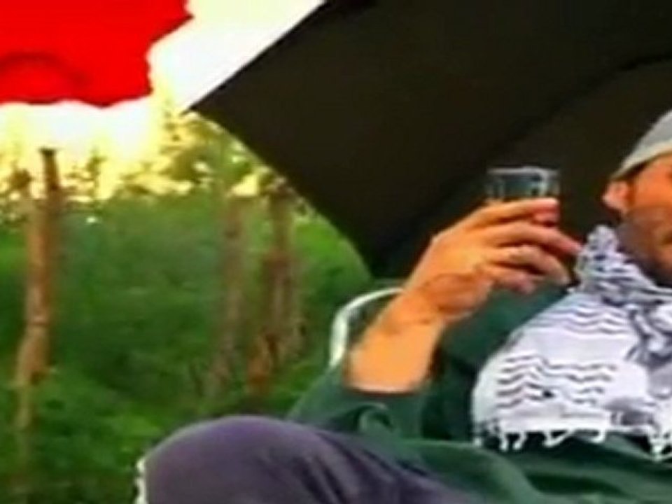 Pit Bull Humor Teta xhyli  2008 WWW.SHQIPET.EU