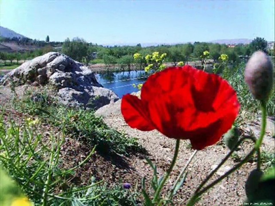 Dua - Necdet Tokatlıoğlu