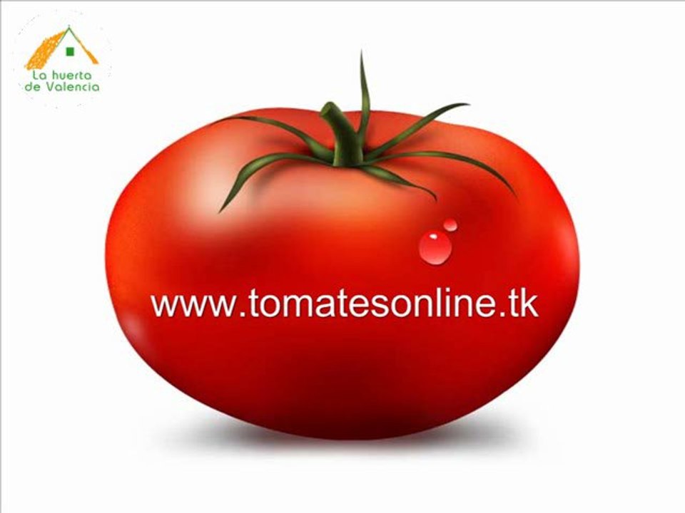 Tomates online de lahuertadevalencia.es. Saben a tomate