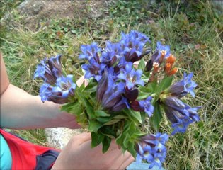 - PALOVİT YAYLASI [HQ] (5)