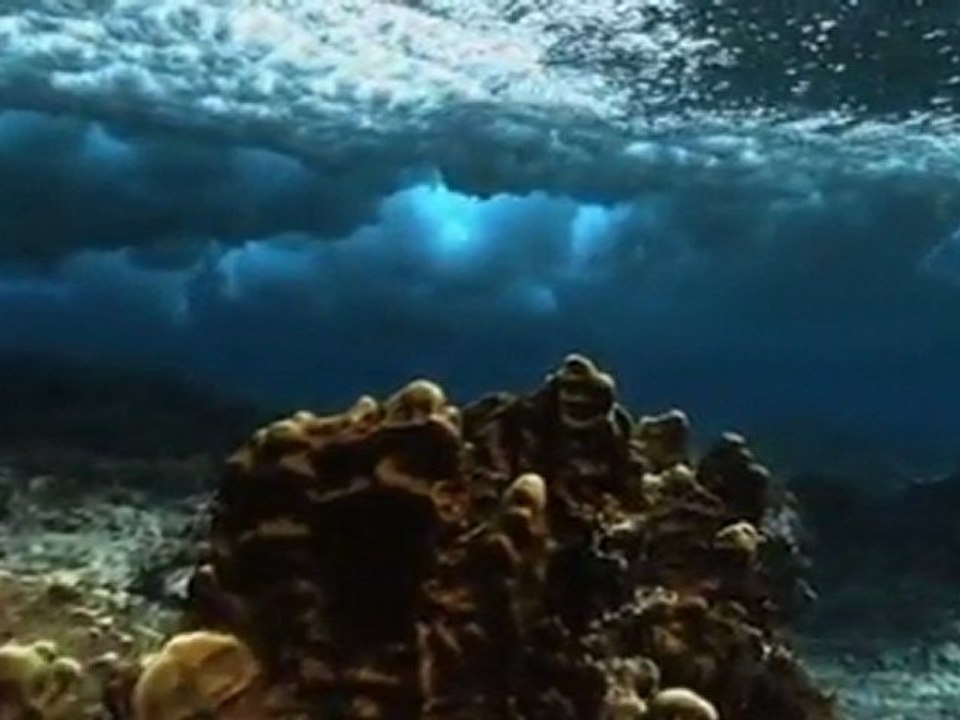 tasavvuftan damlalar-nefis terbiyesi-5