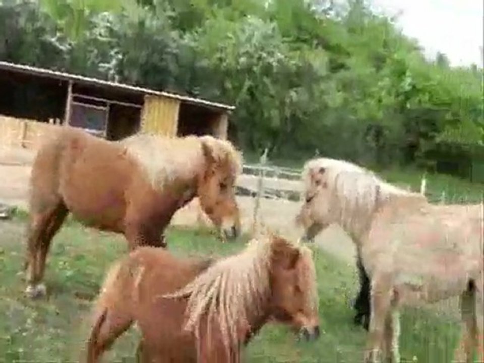 Dreaming my dreams ; AVRIL 2011