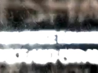 internet reputation management