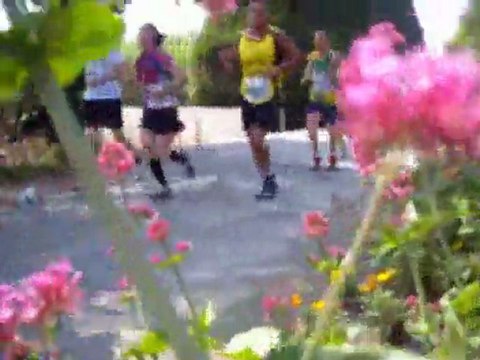 landes et bruyères cap d'erquy 2011..1èr partie cap fréhel