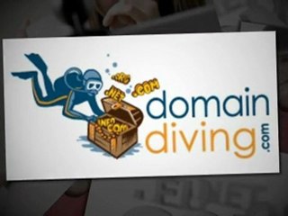 Domain Diving: Domain Renewal