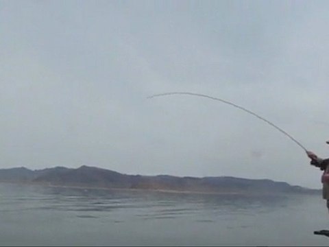 Hendrix Outdoors - 3rd catch at Pyramid Lake with Hendrix Waders
