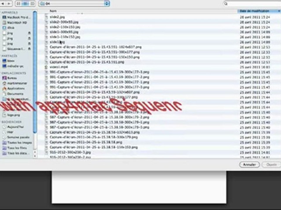 swf doesn't work on piecemaker slider