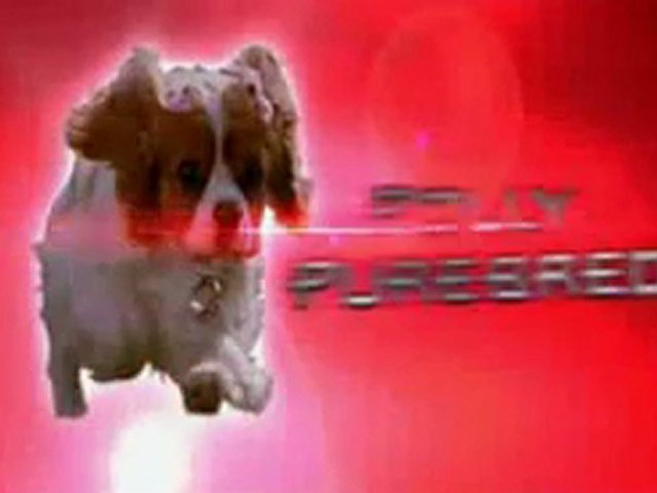 SOTTOCANE - UNDERDOG DOPPIATO IN DIALETTO ORTONESE / ABRUZZESE