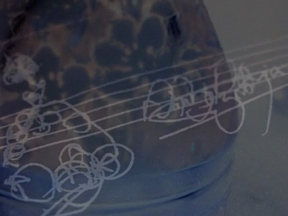 AnnaO / d'un fi en fa / extrait de Trash-Beauty