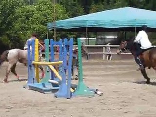 Epervier, avec Québécoise, 1er Mai 2011