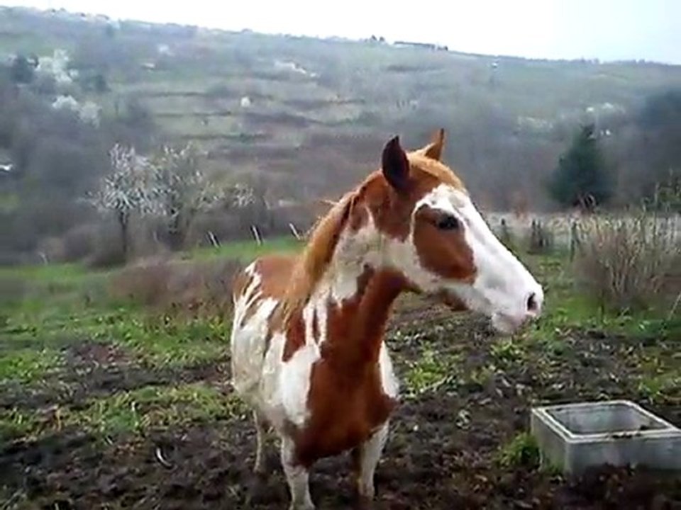 Tornado Du Bignon