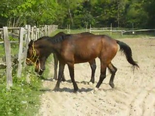 Reine et Pretty qui se defoule