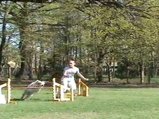 "Zuikelio taurė" - UgnėxTilas1