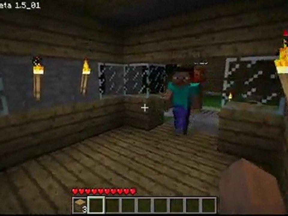 visite de mon serveur minecraft