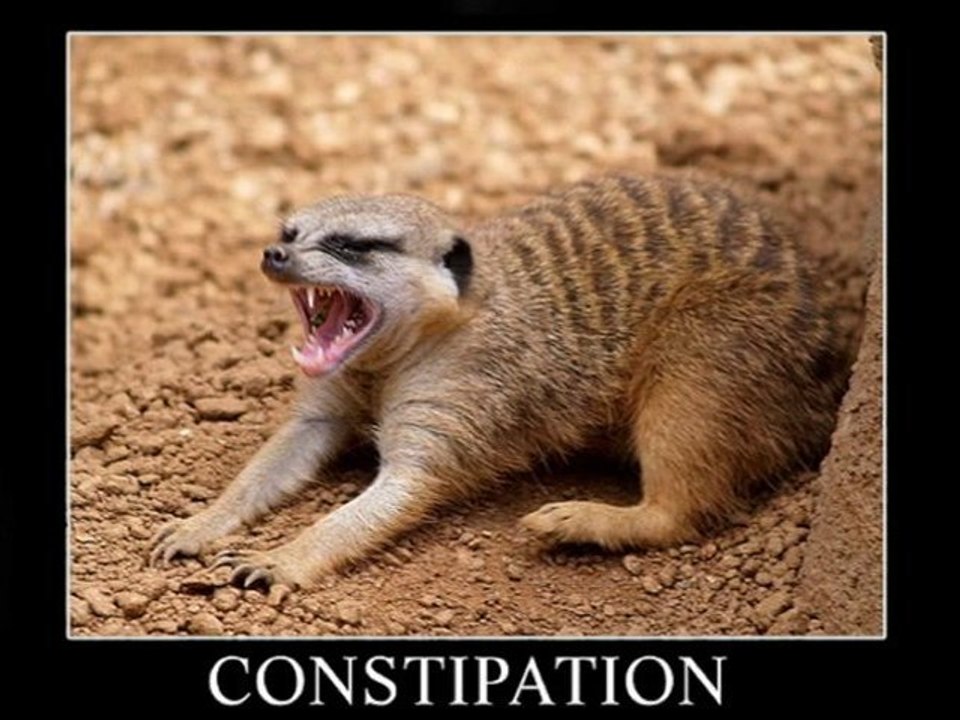 Le Répondeur du Good Morning - Mes Petits Bonheurs