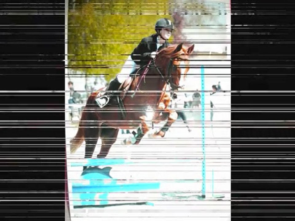 Passoa mon amours plus que tout au monde ...