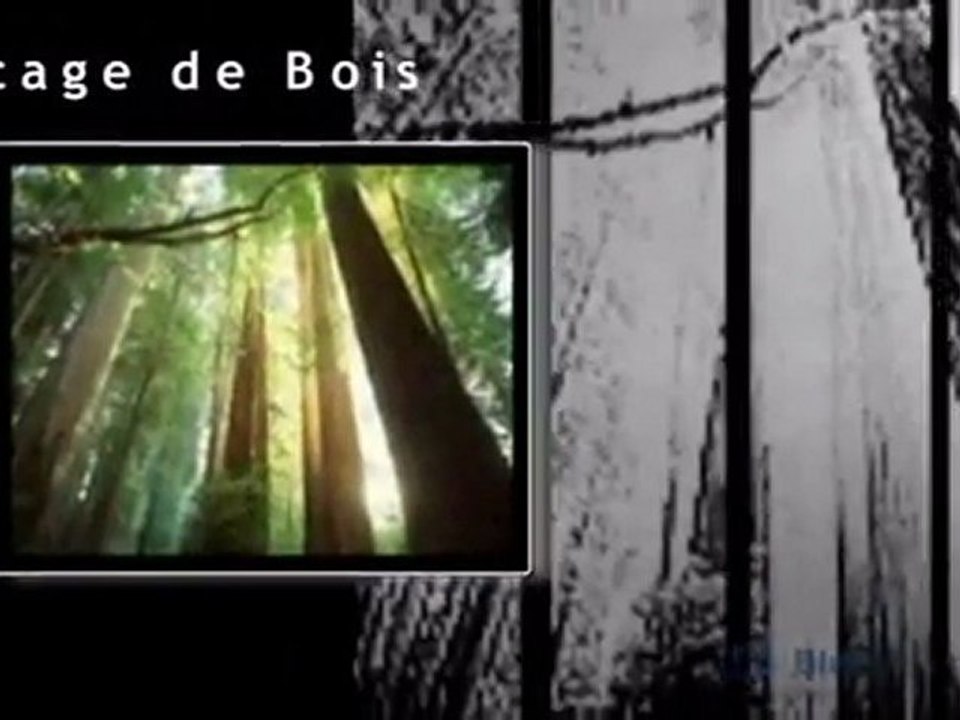 Placages de Bois - St Agathe des Monts, Quebec [www.keepvid.com]