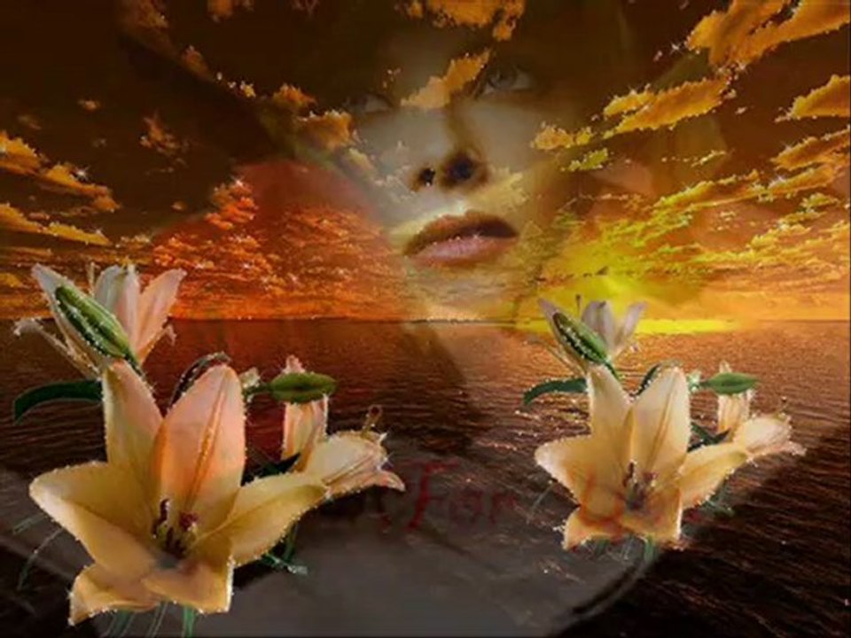 nilüfer seni beklerim öptügüm yerde yavuz