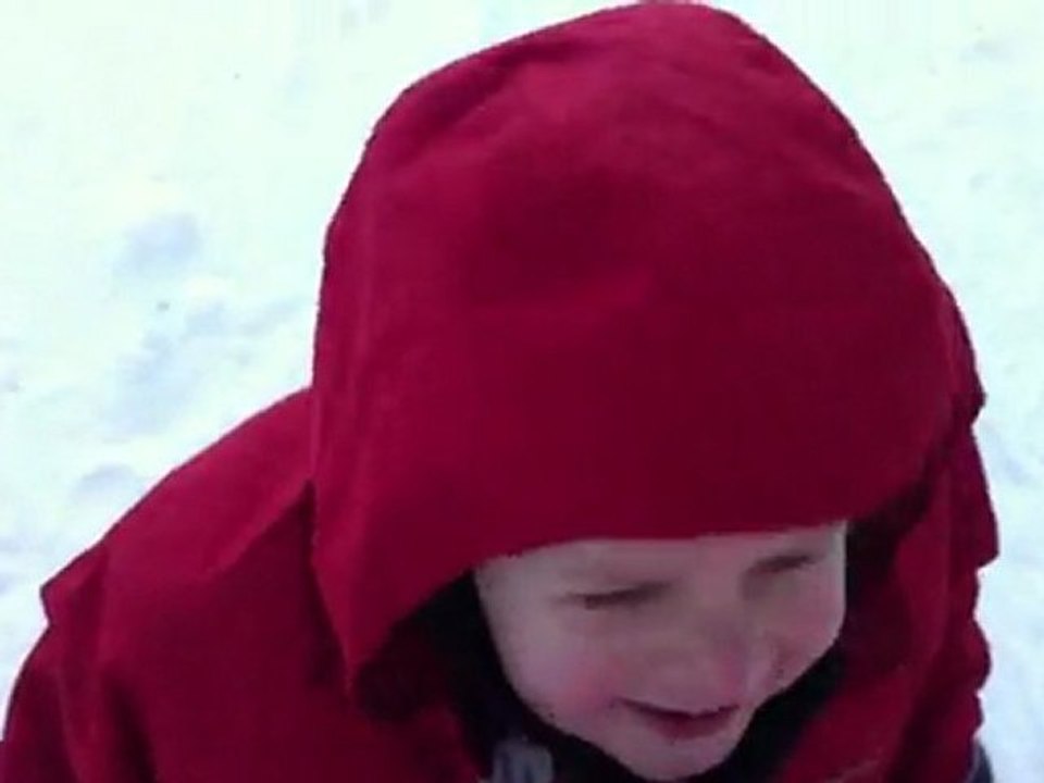 Luge