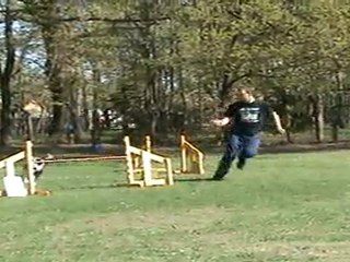 "Zuikelio taurė" - AlgisxMakas 1