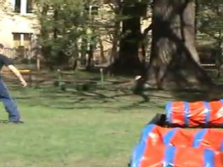 "Zuikelio taurė" - AlgisxMakas 2