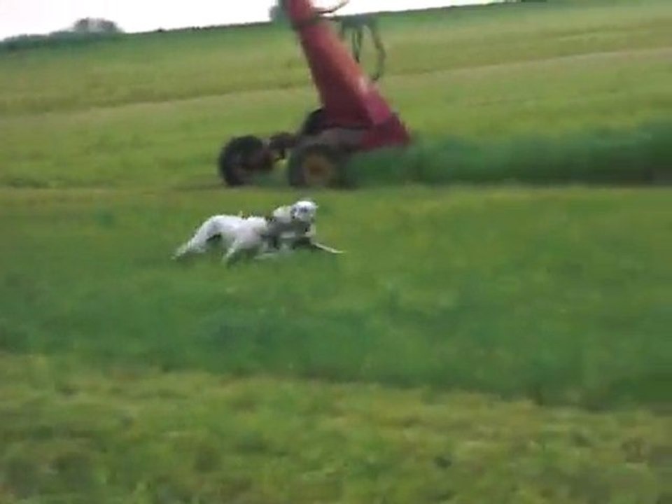 Jeux en balade