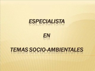 walter martin pachas moore