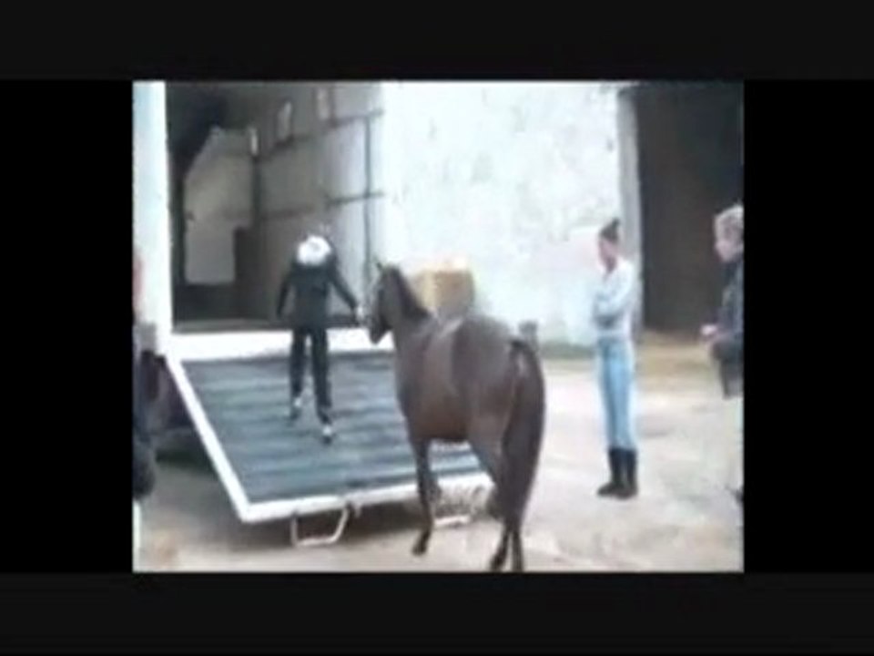 magic et moi a la courbette