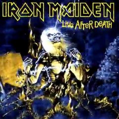 01-iron maiden - eddie metamorphosis