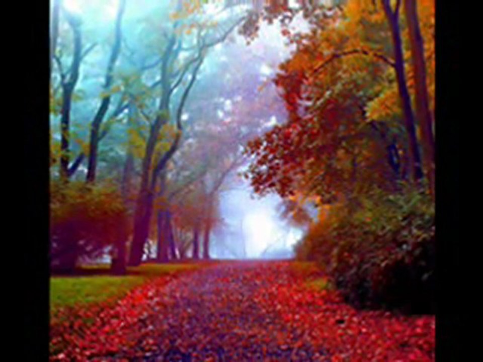 EMEL SAYIN MOR LACİVERT