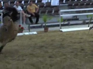 Gador DM Alcab 2011 29042011